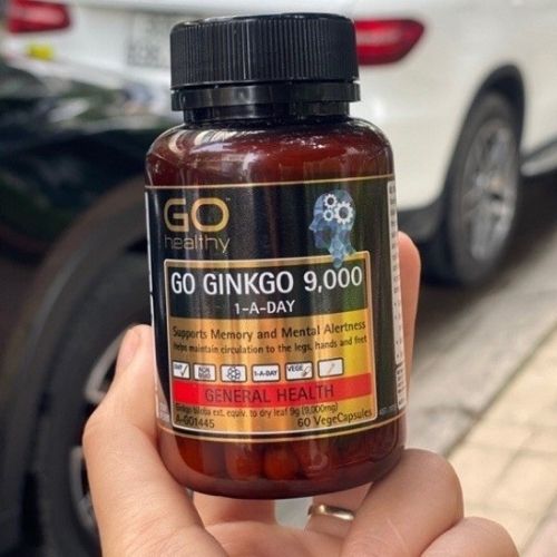 go-ginkgo-9000-2