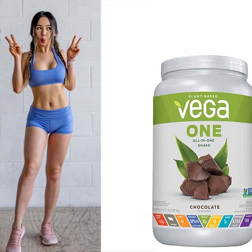 protein-vega-one-all-in-one-shake-chocolate-500-500-5