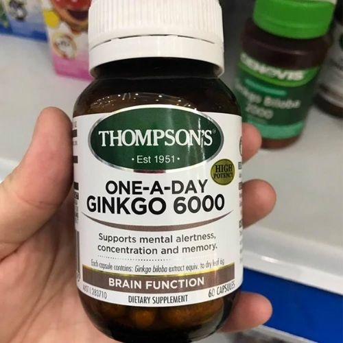 thompsons-ginkgo-6000-500-500-3
