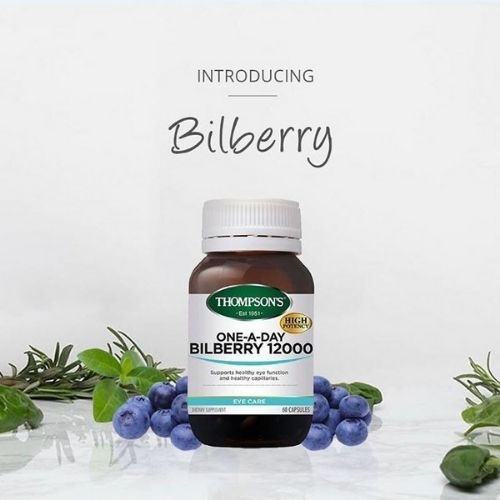 thompsons-one-a-day-bilberry-12000mg-500-500-5