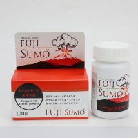 fuji-sumo-500-500-1