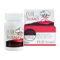 fuji-sumo-500-500-2