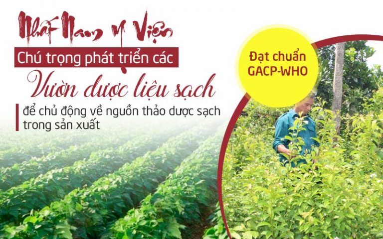 Trung tâm Da liễu Đông y Việt Nam đẩy mạnh phát triển các vườn dược liệu sạch đạt chuẩn