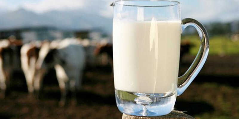 Sữa bò nguyên chất được đánh giá là một trong những thức uống tốt nhất với các bệnh nhân thoát vị đĩ đệm