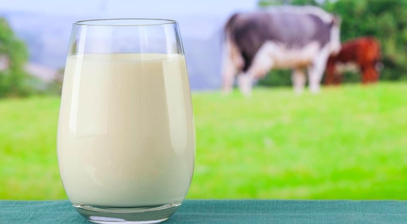 Sữa bò chứa hàm lượng cao vitamin D và canxi