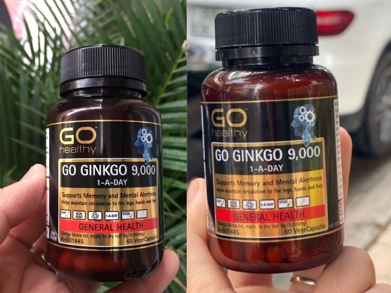 Go Ginkgo 9000 giúp cải thiện trí não