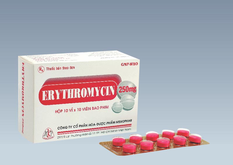 Erythromycin chữa viêm lợi 