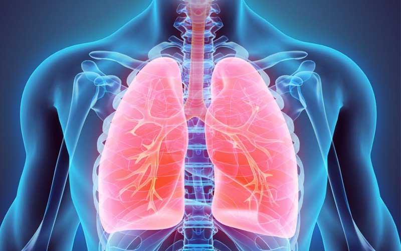 Viêm màng phổi là một trong những nguyên nhân gây tức ngực