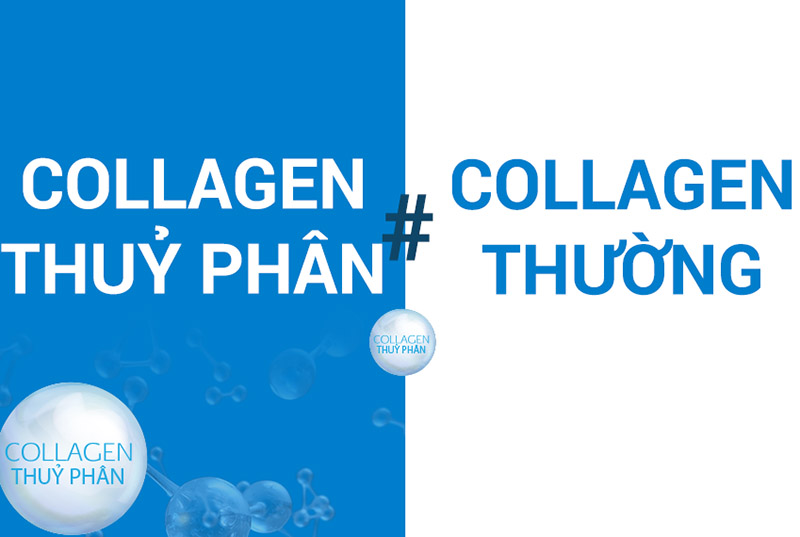 Collagen thủy phân và collagen thường khác nhau về kích thước, khả năng hấp thu