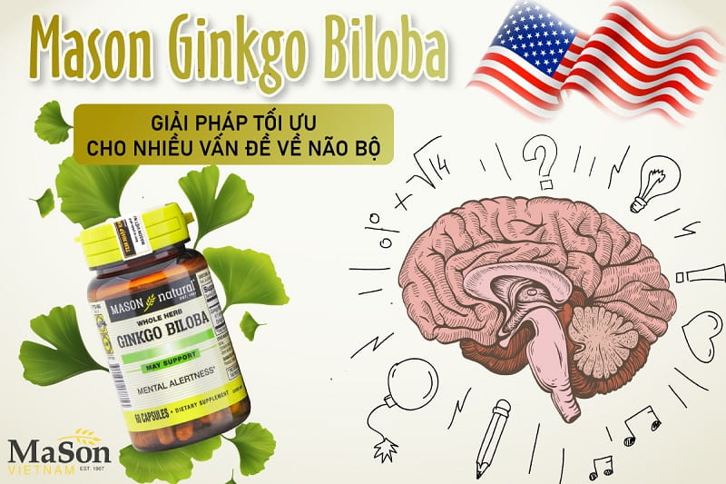 Viên uống bổ não Mason Natural Ginkgo Biloba 500mg có xuất xứ từ Hoa Kỳ
