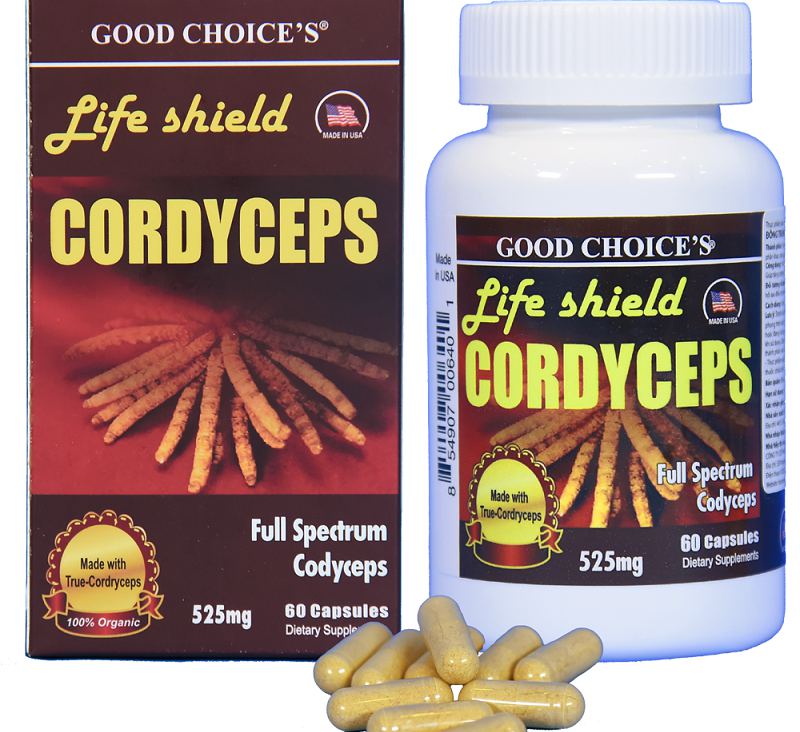 Thực phẩm chức năng đông trùng hạ thảo của Mỹ Life Shield Cordyceps