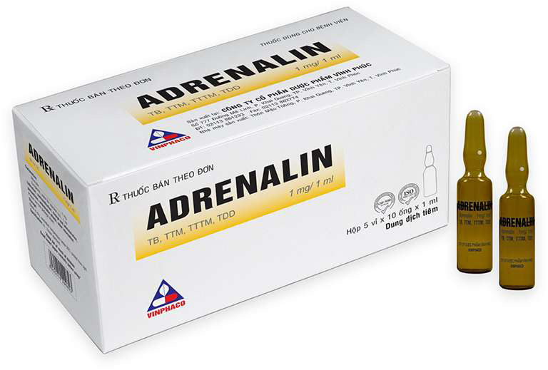Thuốc Adrenalin được sử dụng phổ biến trong điều trị sốc do mất máu 