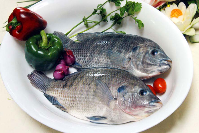 Cá rô phi nấu canh rau ngót có thể tăng cường sinh lý nam