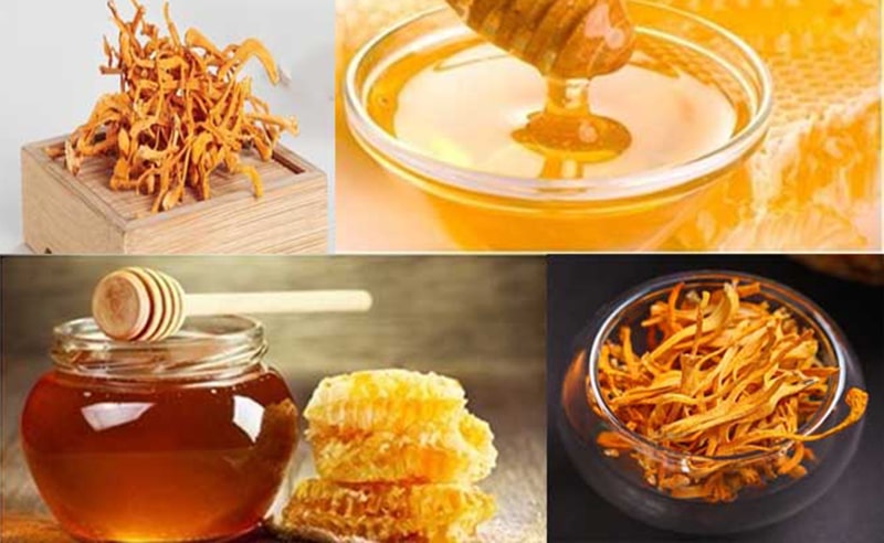 Đông trùng hạ thảo khô ngâm mật ong là một cách sử dụng phổ biến