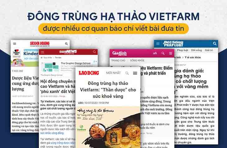 Báo chí đua tin về Đông trùng hạ thảo Vietfarm