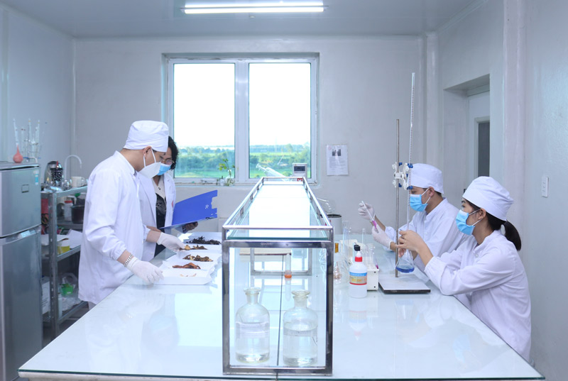 Nhất Nam Hoàn Nguyên Bì được sản xuất trên dây chuyền công nghệ hiện đại của nhà máy khép kín đạt chuẩn GMP-WHO