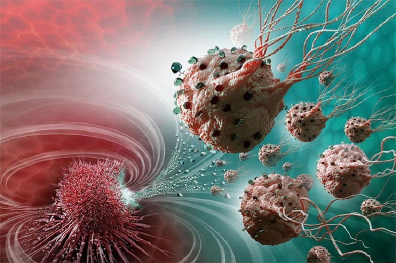 Đông trùng hạ thảo giúp ngăn ngừa sự lây lan của tế bào ung thư