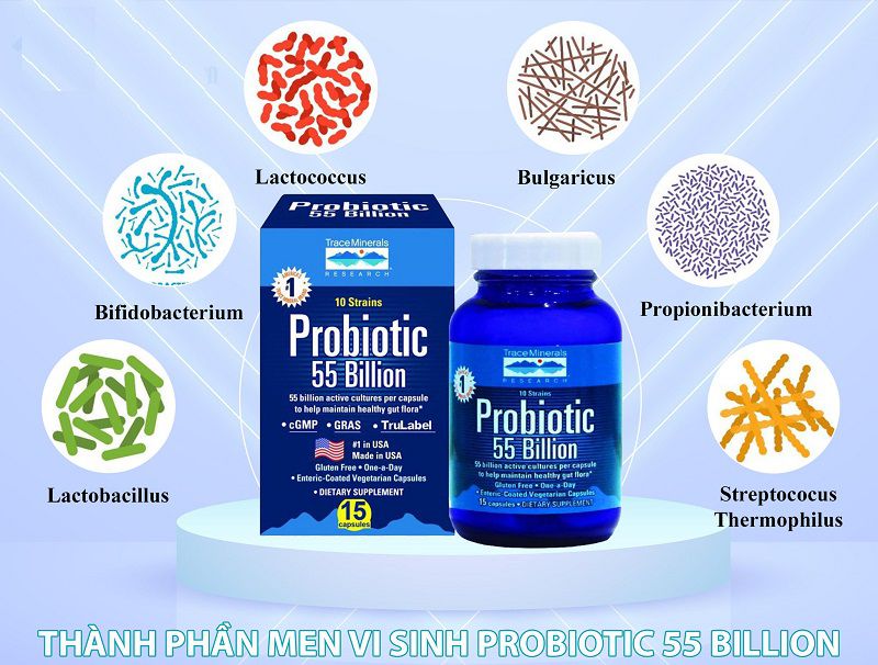 Men vi sinh Probiotic 55 Billion chứa các thành phần có lợi cho đại tràng