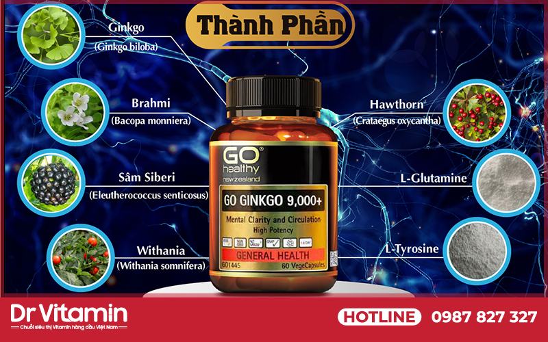 Go Ginkgo 9000 được bào chế từ những thành phần tự nhiên tốt cho trí não