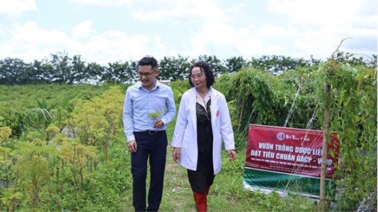 Bác sĩ Lê Phương cùng đội ngũ của mình khảo sát vườn dược liệu của Nhất Nam Y Viện